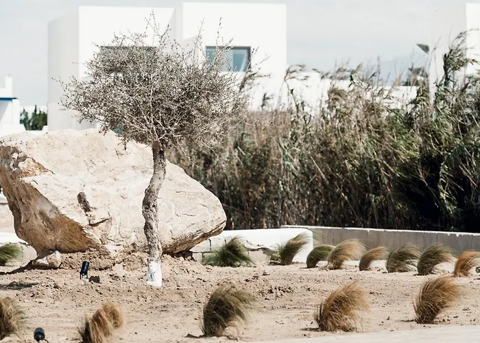 호텔 Sundunes Naxos *